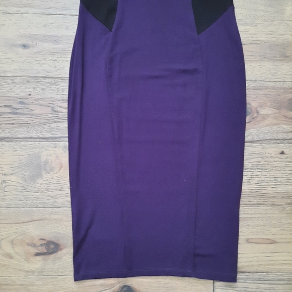 Miik Sleeveless Fitted Dress - Picture 14 of 16